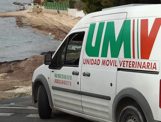 Unidad movil veterinaria en Alicante