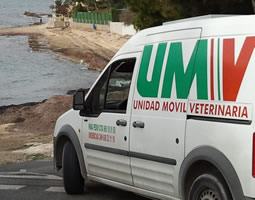 Unidad móvil veterinaria en Alicante