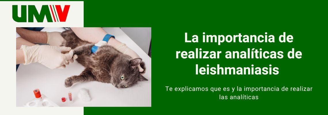 Analíticas Leishmaniasis 