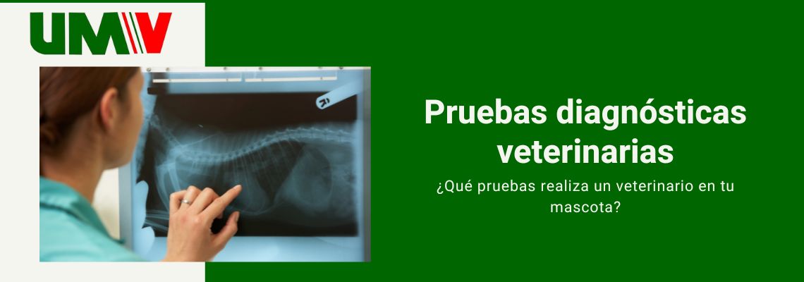 Pruebas diagnosticas veterinarias